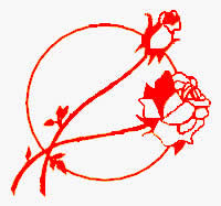 Carmen's Rose